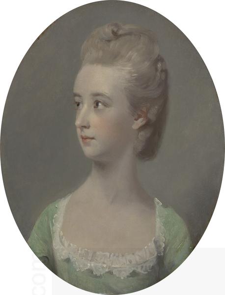 Henry Walton Portrait of a young woman, possibly Miss Nettlethorpe oil painting picture